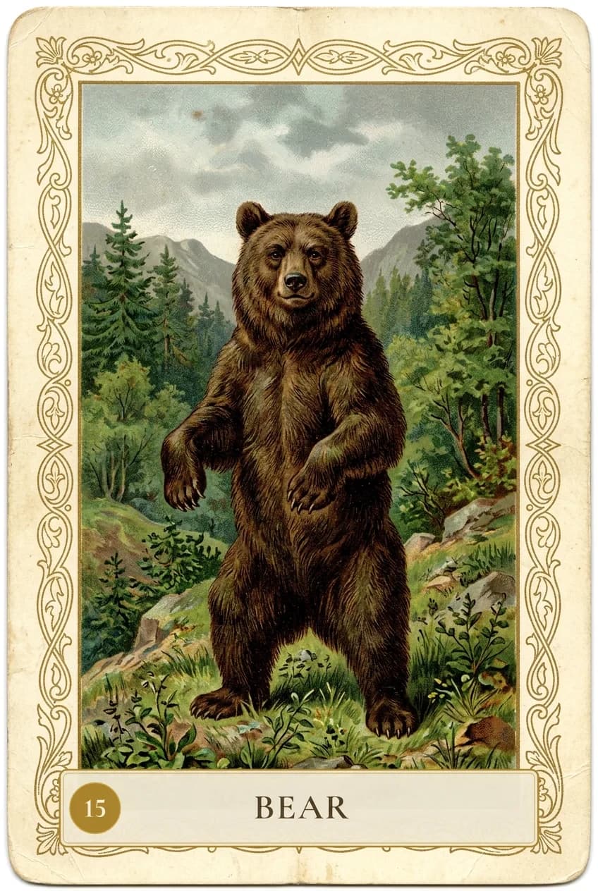 Lenormand card Bear