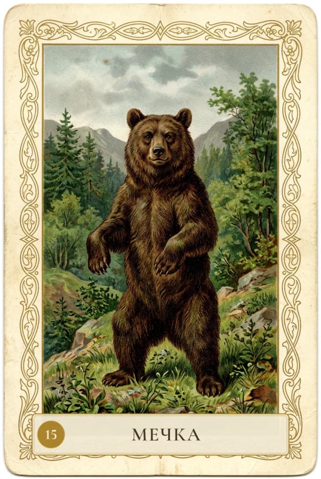 Lenormand card Bear