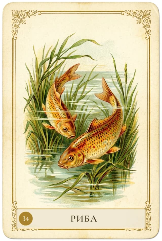 Lenormand card Fish